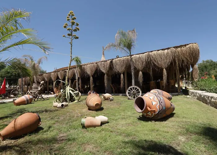 Dream Water World 호텔